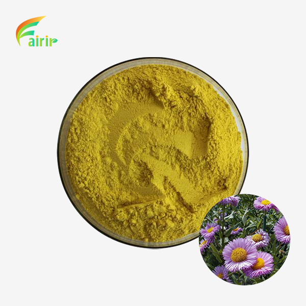 Erigeron Breviscapus Extract Powder